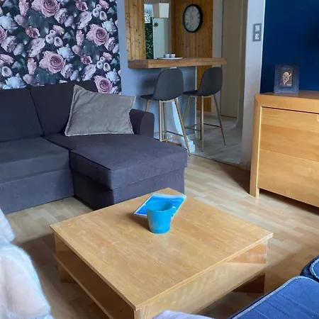 La Bresse, 50 M Du Centre Ville, 4-6 Personnes لابْريسْ