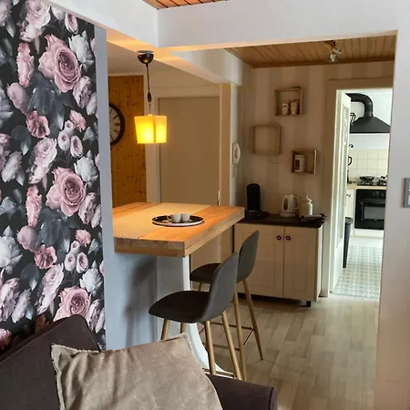 La Bresse, 50 M Du Centre Ville, 4-6 Personnes لابْريسْ