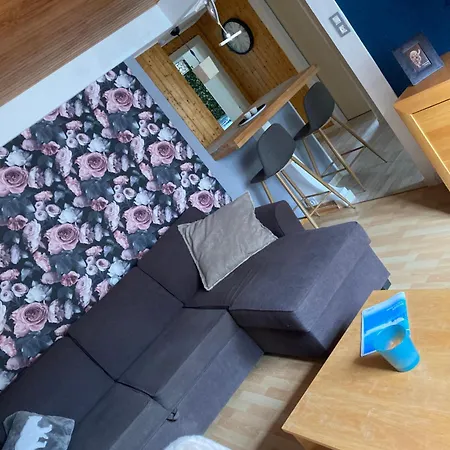 La Bresse, 50 M Du Centre Ville, 4-6 Personnes *